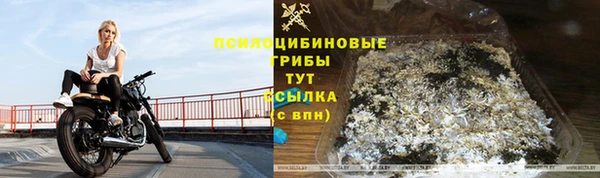тгк Майский