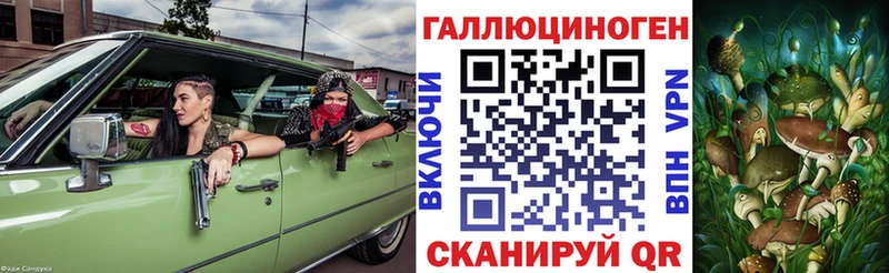 Купить  Теберда  Галлюциногенные грибы прущие грибы 